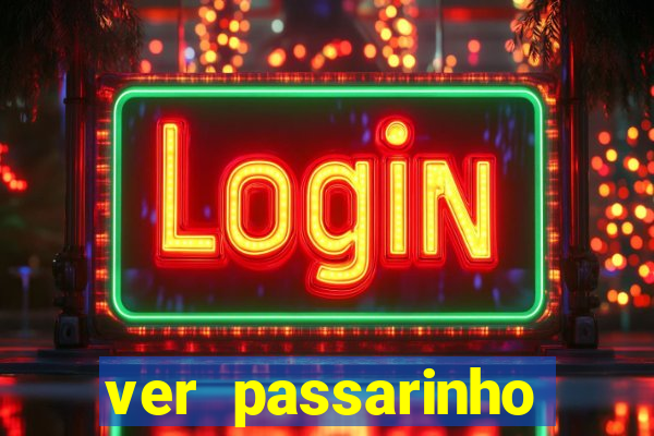 ver passarinho morto significado espiritual