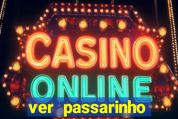 ver passarinho morto significado espiritual