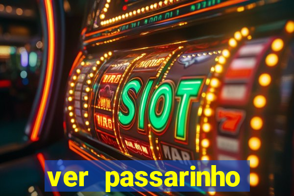 ver passarinho morto significado espiritual