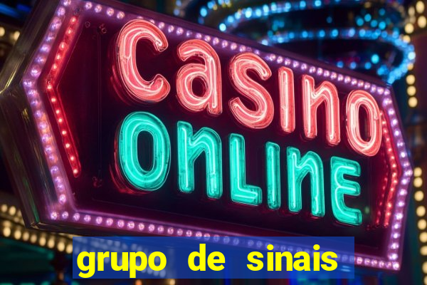 grupo de sinais fortune rabbit